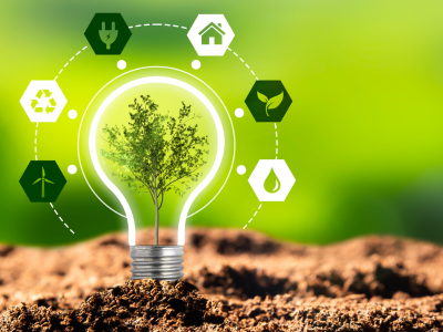 sustainability grocery stores